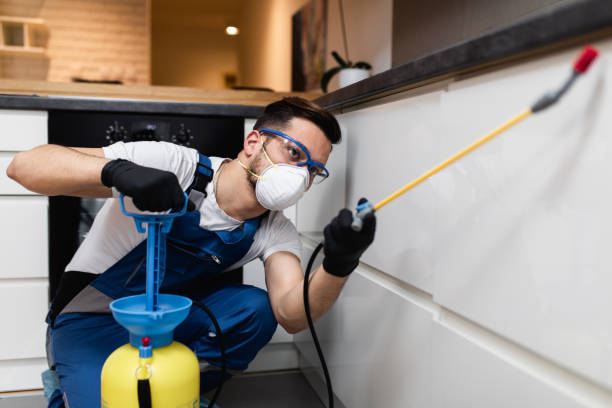 Best Affordable Pest Control Services  in Charlack, MO