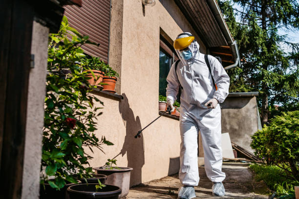 Pest Prevention Services in Charlack, MO