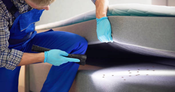 Trusted Charlack, MO Pest Control Experts