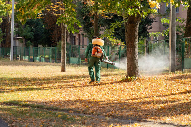 Best Residential Pest Control  in Charlack, MO