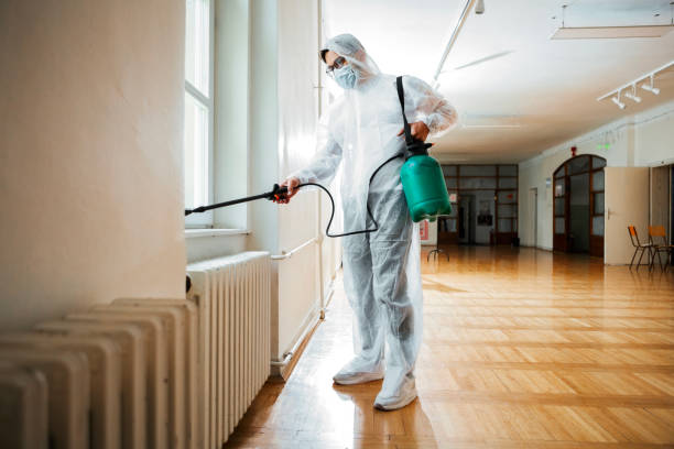 Wasp Removal Services in Charlack, MO