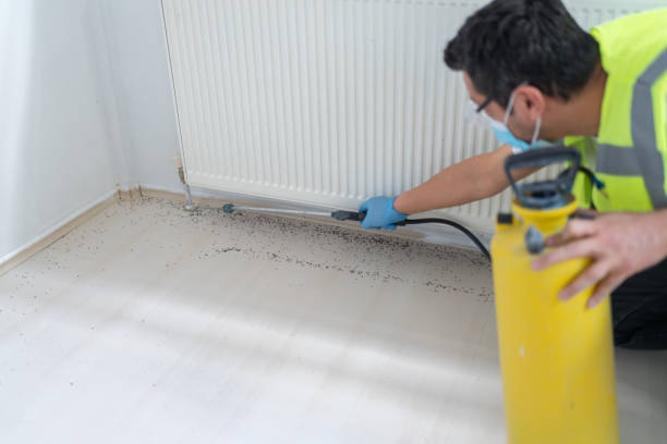 Best Ant Control Services  in Charlack, MO